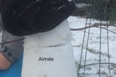Aimee-1